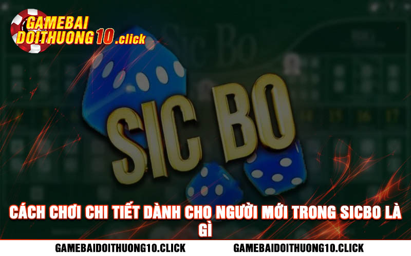 Cach choi chi tiet danh cho nguoi moi trong sicbo la gi Cách chơi chi tiết dành cho người mới trong sicbo là gì